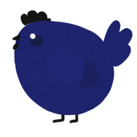 A navy chicken with a bar pattern