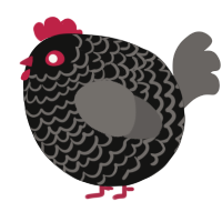 A black and grey chicken with a lace pattern