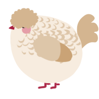 A cream and beige chicken with a half-lace pattern