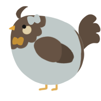 A silver and bark chicken with a head pattern