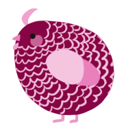 A maroon and pink chicken with a lace pattern