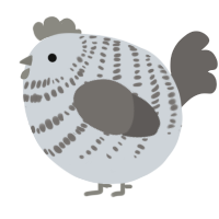 A mist and grey chicken with a bar pattern