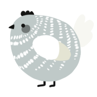 A silver and white chicken with a bar pattern