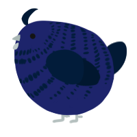 A navy and tumblr chicken with a bar pattern