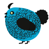 A cerulean and black chicken with a double-lace pattern