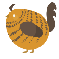 A orange and bark chicken with a bar pattern