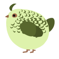 A apple and olive chicken with a half-lace pattern