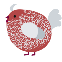 A red and mist chicken with a double-lace pattern