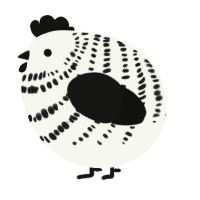 A white and black chicken with a bar pattern