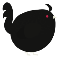 A black chicken with a half-lace pattern