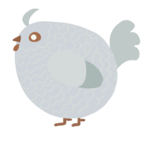 A mist and silver chicken with a lace pattern