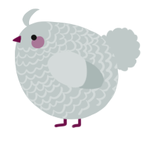 A silver chicken with a lace pattern