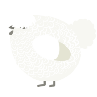 A white chicken with a double-lace pattern
