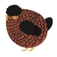 A russet and sable chicken with a lace pattern