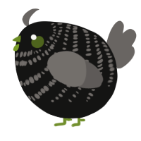 A black and grey chicken with a bar pattern