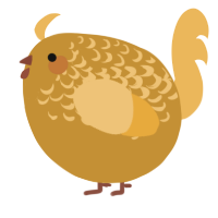 A gold and honey chicken with a half-lace pattern