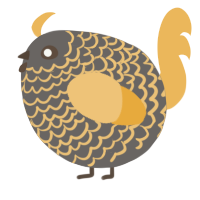 A grey and honey chicken with a lace pattern
