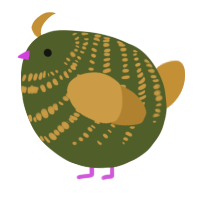 A olive and gold chicken with a bar pattern