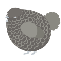 A grey and ash chicken with a lace pattern
