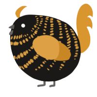 A sable and orange chicken with a bar pattern