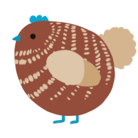 A russet and beige chicken with a bar pattern