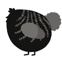 A black and grey chicken with a half-bar pattern