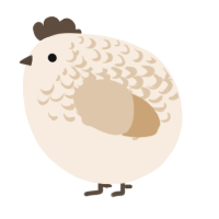 A cream and beige chicken with a half-lace pattern