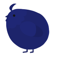 A navy chicken with a head pattern