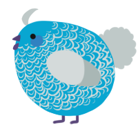 A cerulean and silver chicken with a double-lace pattern