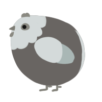 A grey and silver chicken with a head pattern
