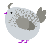 A mist and ash chicken with a half-lace pattern