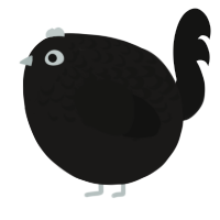 A sable and black chicken with a half-lace pattern