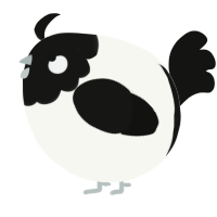 A white and black chicken with a head pattern