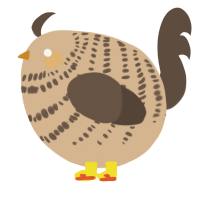A beige and bark chicken with a bar pattern