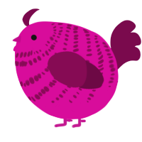 A fuchsia and wine chicken with a bar pattern