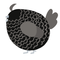 A black and grey chicken with a lace pattern