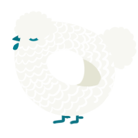 A white chicken with a lace pattern