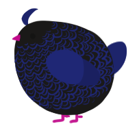 A sable and navy chicken with a double-lace pattern