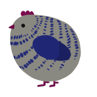 A ash and navy chicken with a bar pattern