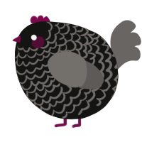 A black and grey chicken with a lace pattern