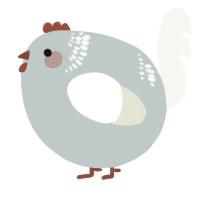 A silver and white chicken with a neck-band pattern