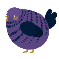 A overcast and tumblr chicken with a bar pattern