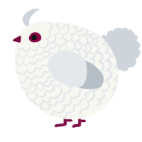 A white and mist chicken with a lace pattern