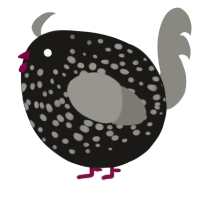 A sable and ash chicken with a speckle pattern