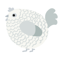 A white and silver chicken with a lace pattern