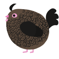 A bark and sable chicken with a double-lace pattern