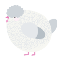 A white and mist chicken with a double-lace pattern