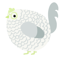 A white and silver chicken with a lace pattern