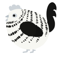 A white and black chicken with a bar pattern