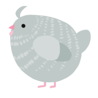 A silver chicken with a bar pattern